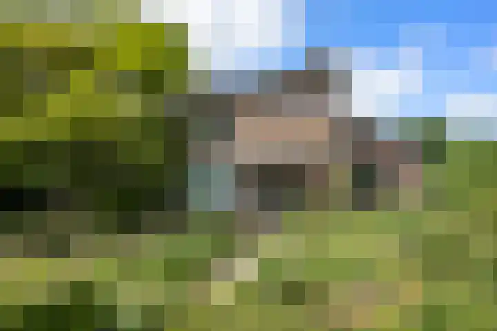 Bernhardstraat 25 Boven-Leeuwen thumbnail 62
