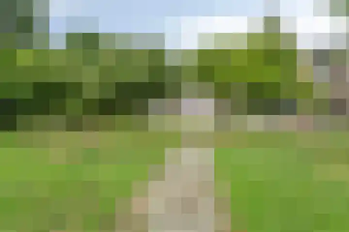 Bernhardstraat 25 I Wageningen thumbnail 4