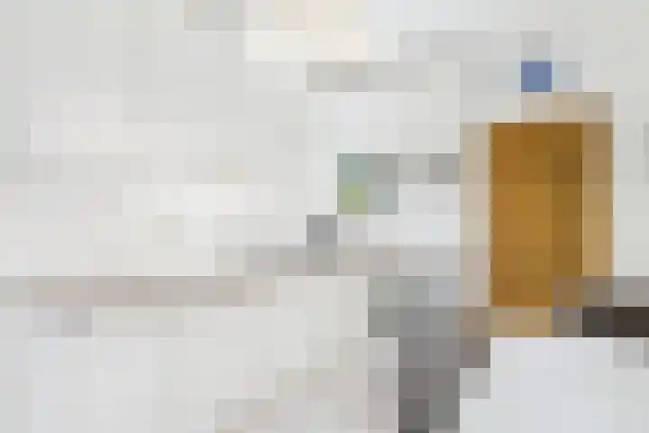 Bernhardstraat 25 Westdorpe thumbnail 10