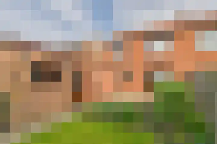 Bernhardstraat 25 Westdorpe thumbnail 20