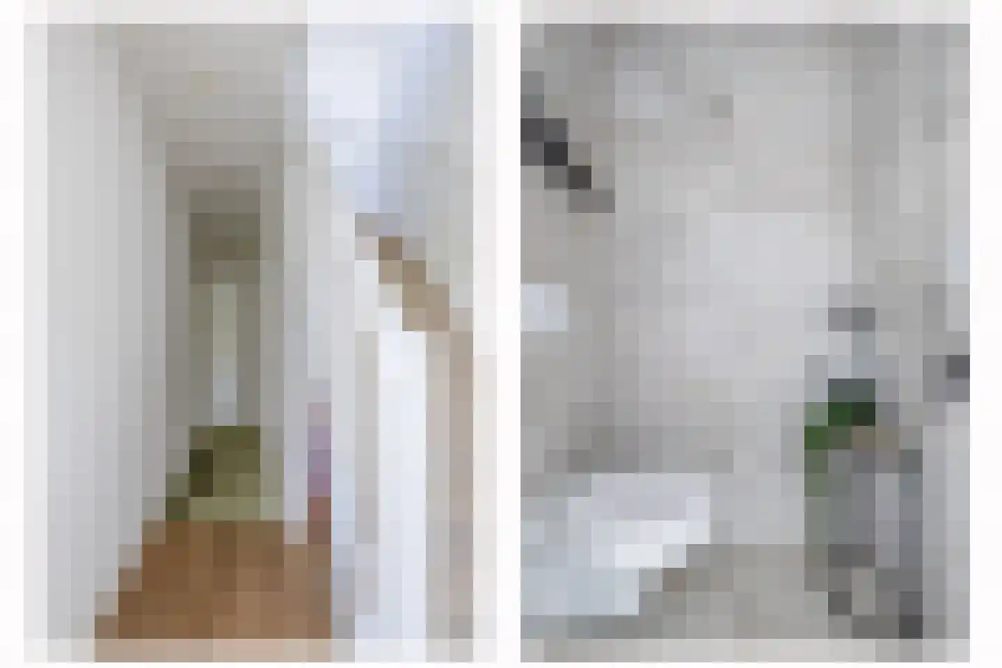 Bernhardstraat 27 Rhoon thumbnail 10