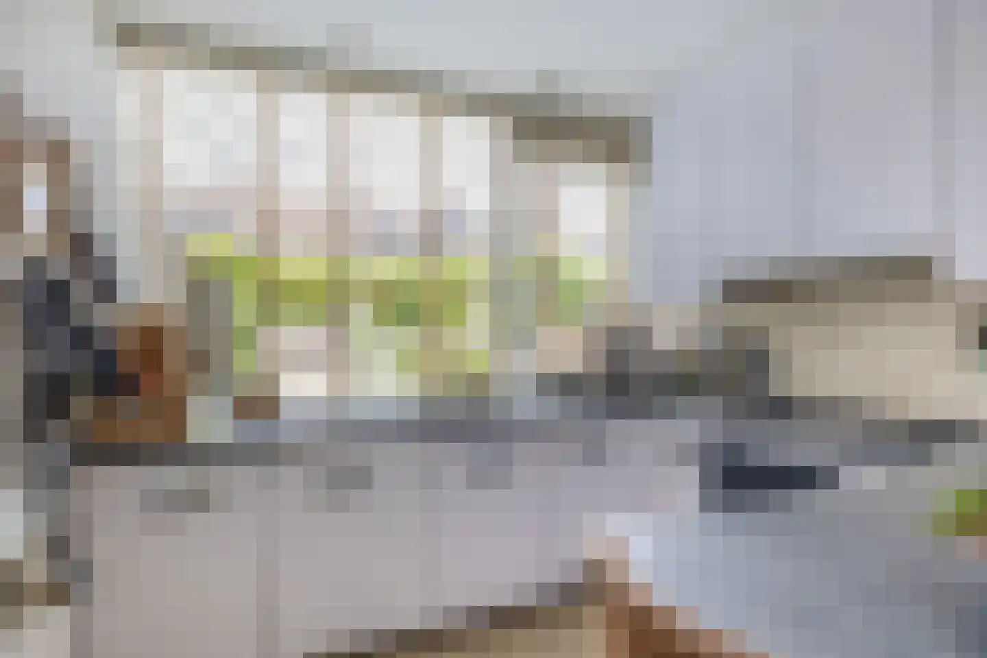 Bernhardstraat 27 Rhoon thumbnail 18