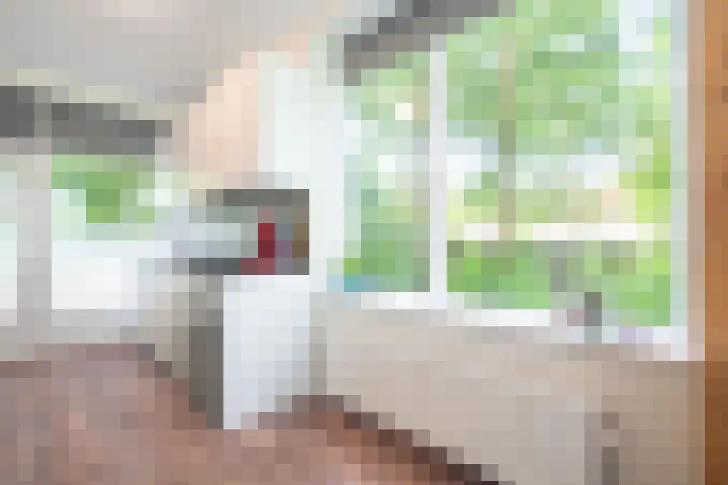 Bernhardstraat 27 Wageningen thumbnail 11