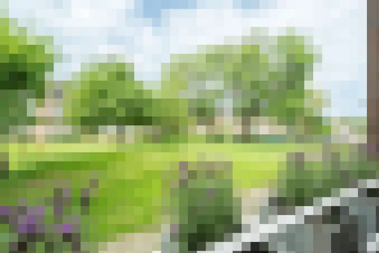 Bernhardstraat 27 Wageningen thumbnail 22