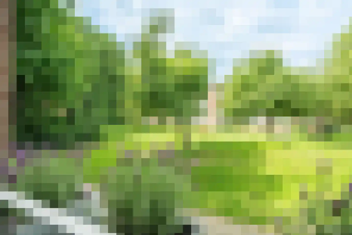 Bernhardstraat 27 Wageningen thumbnail 23