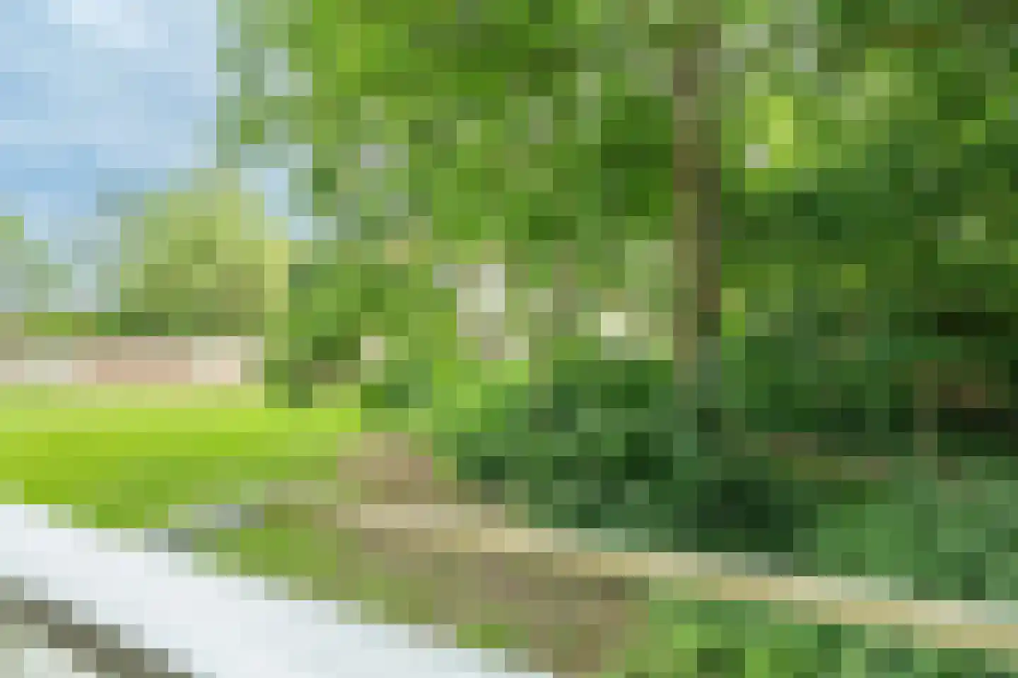 Bernhardstraat 27 Wageningen thumbnail 24