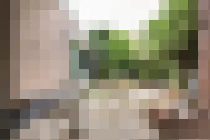 Bernhardstraat 28 Kortgene thumbnail 22