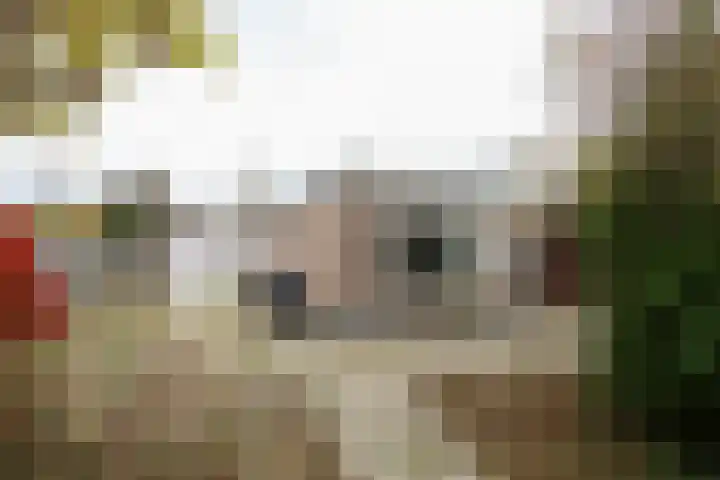 Bernhardstraat 28 Kortgene thumbnail 26