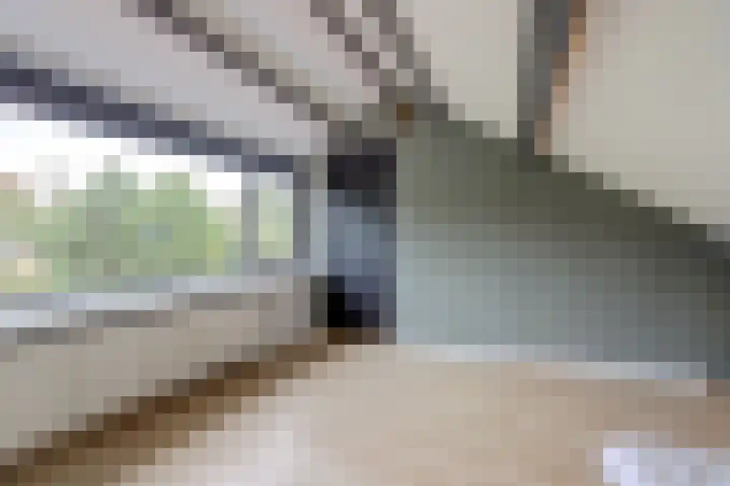Bernhardstraat 28 Rozenburg thumbnail 29
