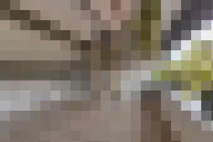 Bernhardstraat 28 Rozenburg thumbnail 30