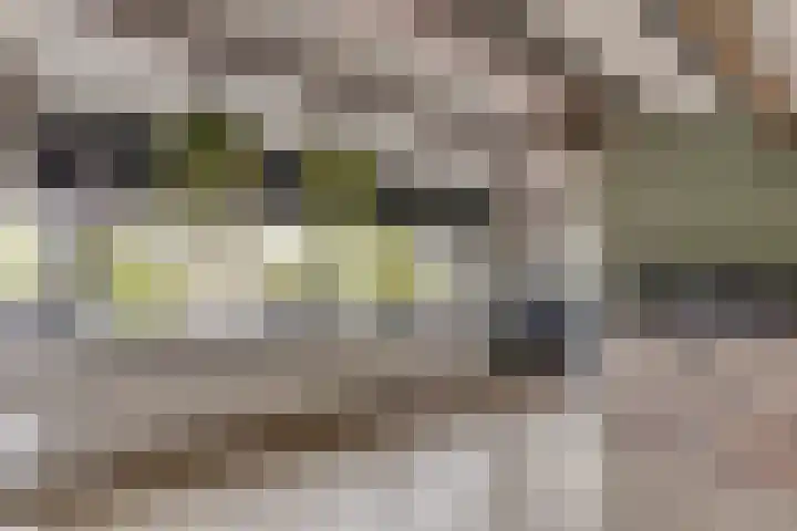 Bernhardstraat 28 Rozenburg thumbnail 31