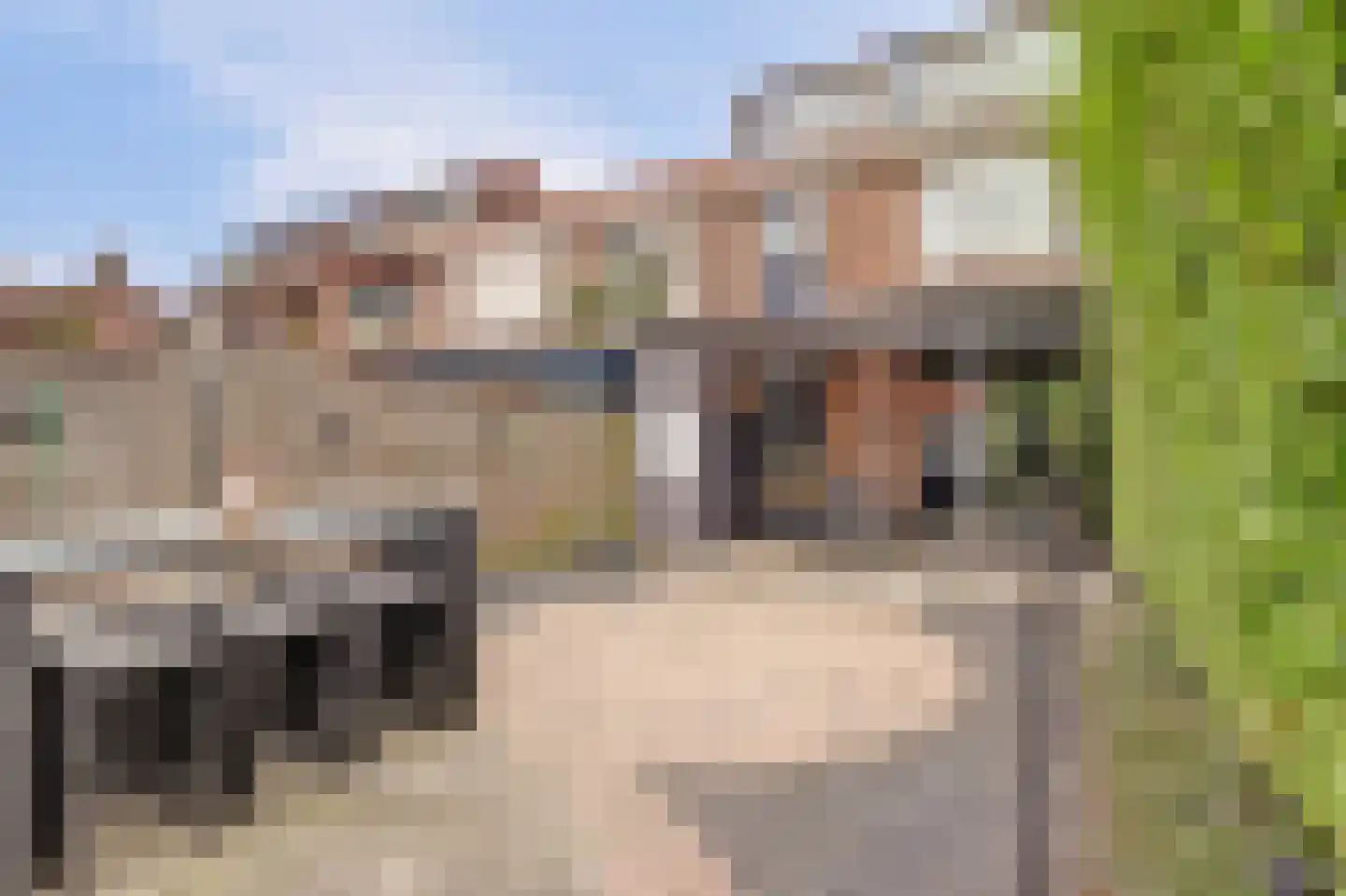 Bernhardstraat 28 Rozenburg thumbnail 33