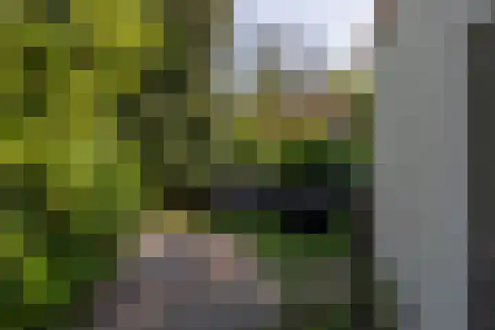 Bernhardstraat 28 Rozenburg thumbnail 38