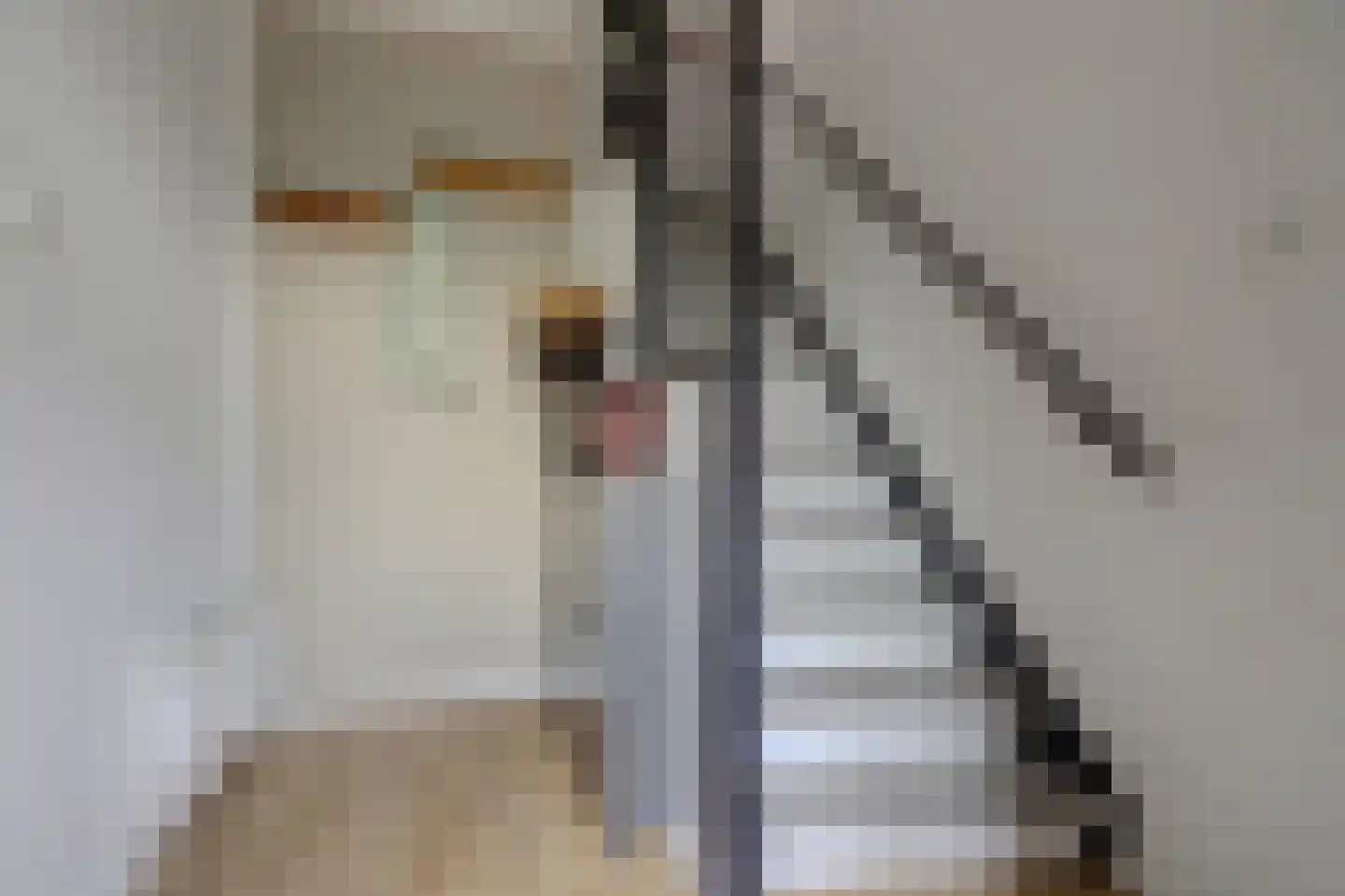 Bernhardstraat 28 Rozenburg thumbnail 7