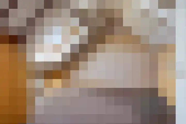 Bernhardstraat 29 Riel thumbnail 29