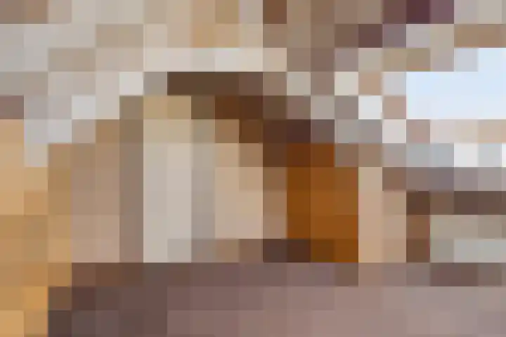 Bernhardstraat 29 Riel thumbnail 30