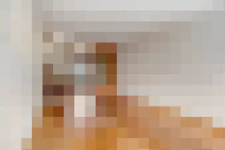 Bernhardstraat 29 Riel thumbnail 4