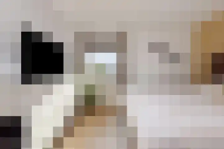 Bernhardstraat 3 Heesch thumbnail 18