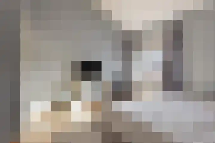 Bernhardstraat 3 Heesch thumbnail 28