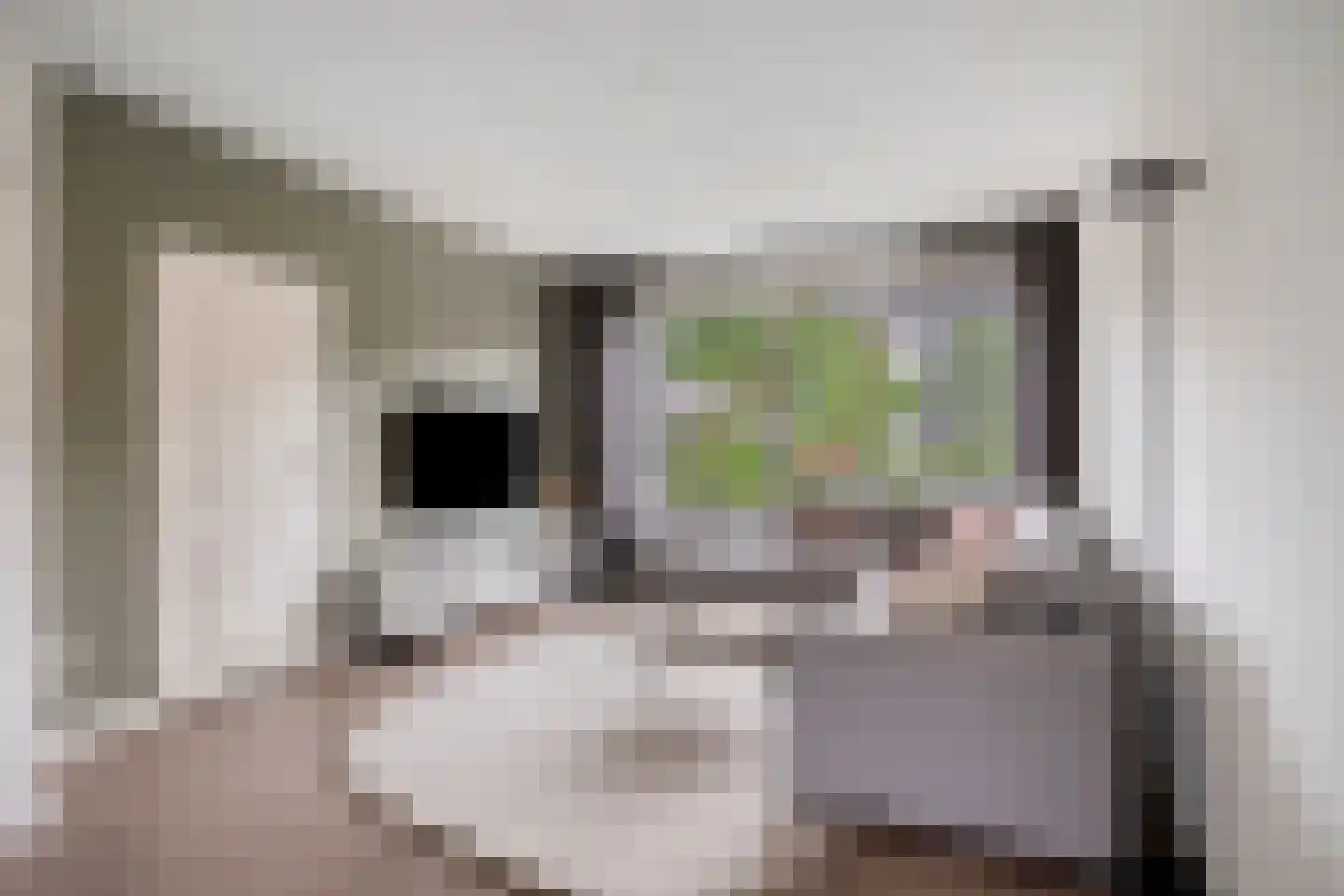 Bernhardstraat 3 Riel thumbnail 15