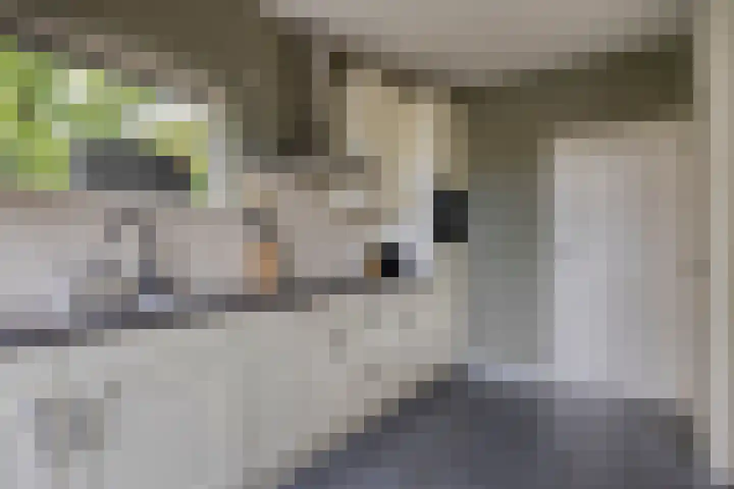 Bernhardstraat 3 Riel thumbnail 25
