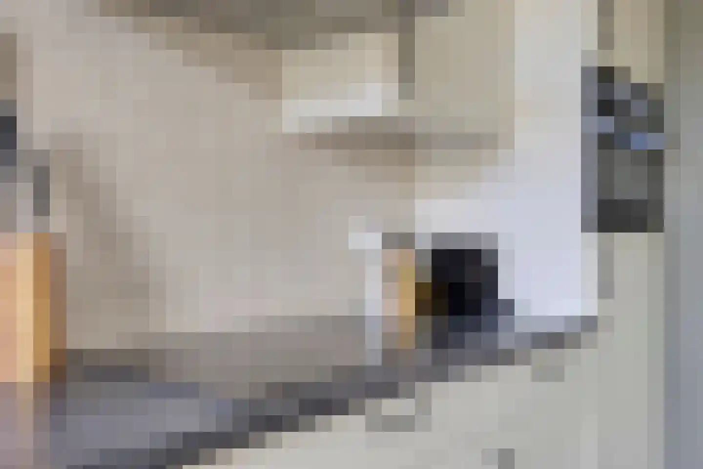 Bernhardstraat 3 Riel thumbnail 27