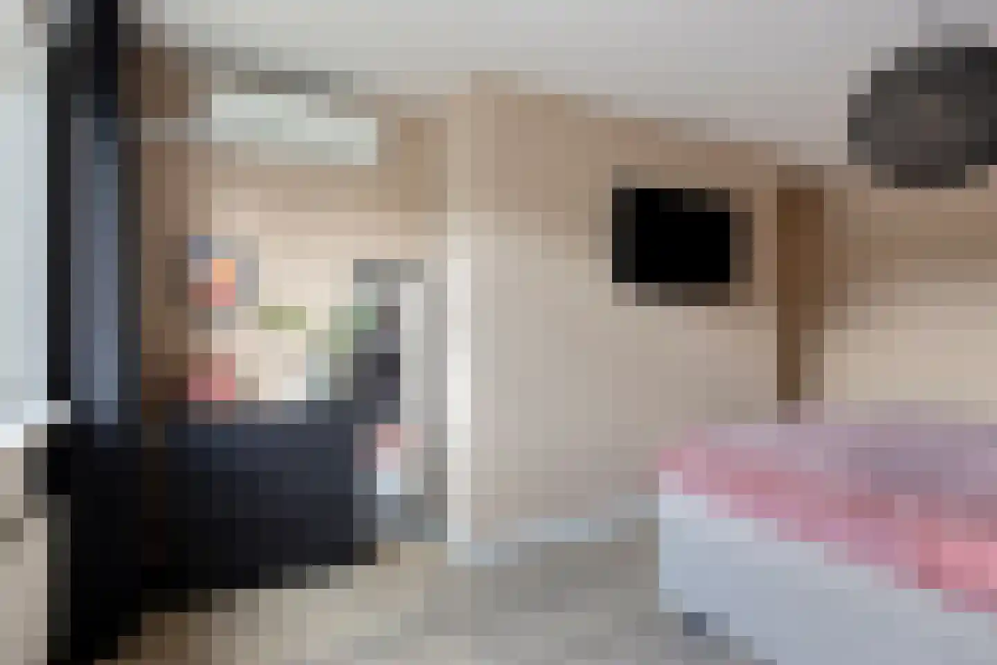 Bernhardstraat 3 Riel thumbnail 34