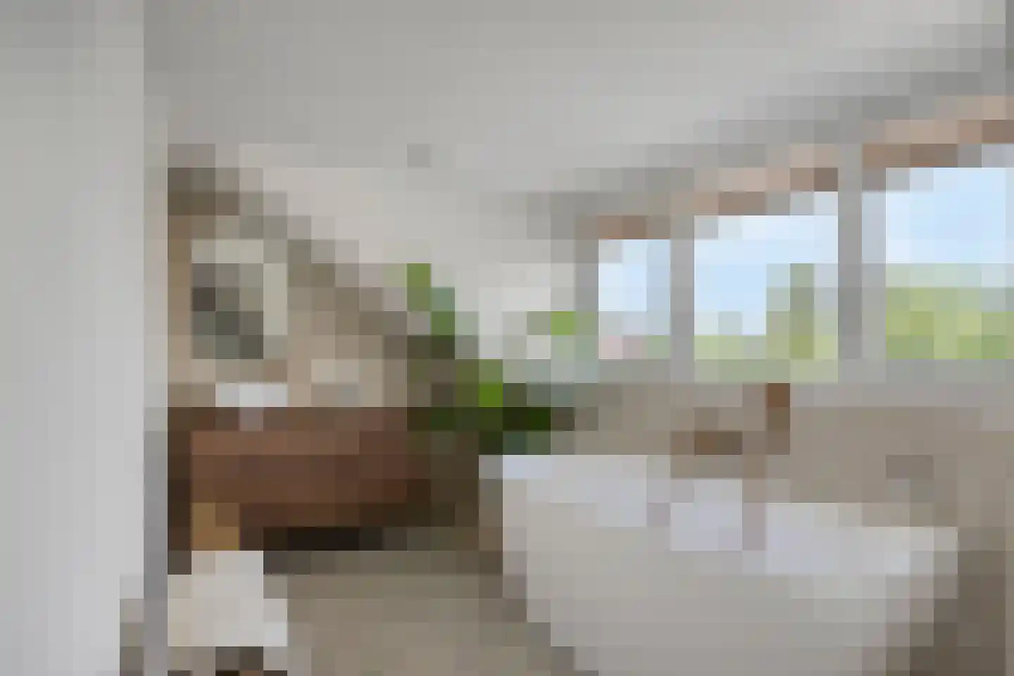 Bernhardstraat 3 Riel thumbnail 49