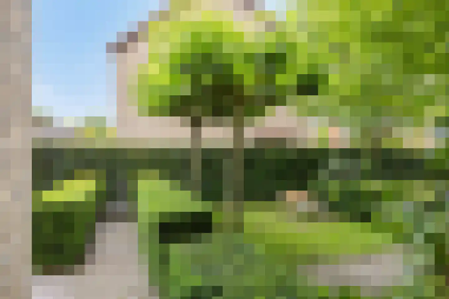 Bernhardstraat 3 Riel thumbnail 55