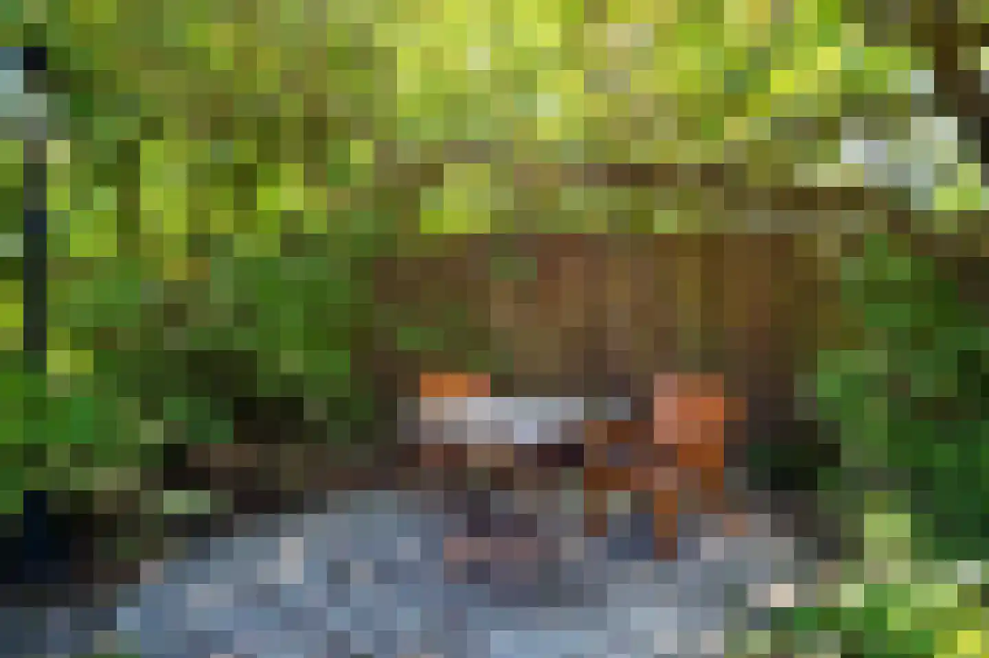 Bernhardstraat 30 Velden thumbnail 37