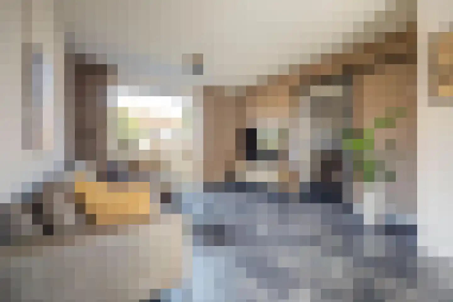 Bernhardstraat 36 Gendt thumbnail 7