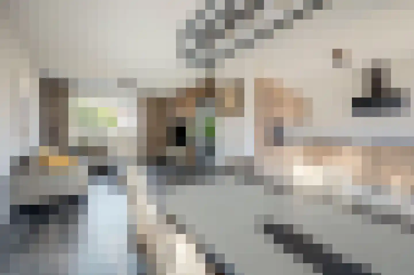 Bernhardstraat 36 Gendt thumbnail 9