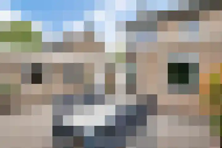 Bernhardstraat 37 Nederweert thumbnail 33