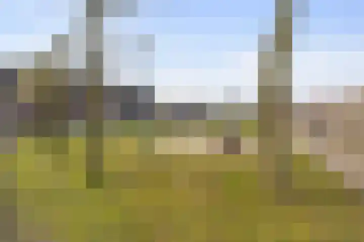 Bernhardstraat 38 Boekel thumbnail 39