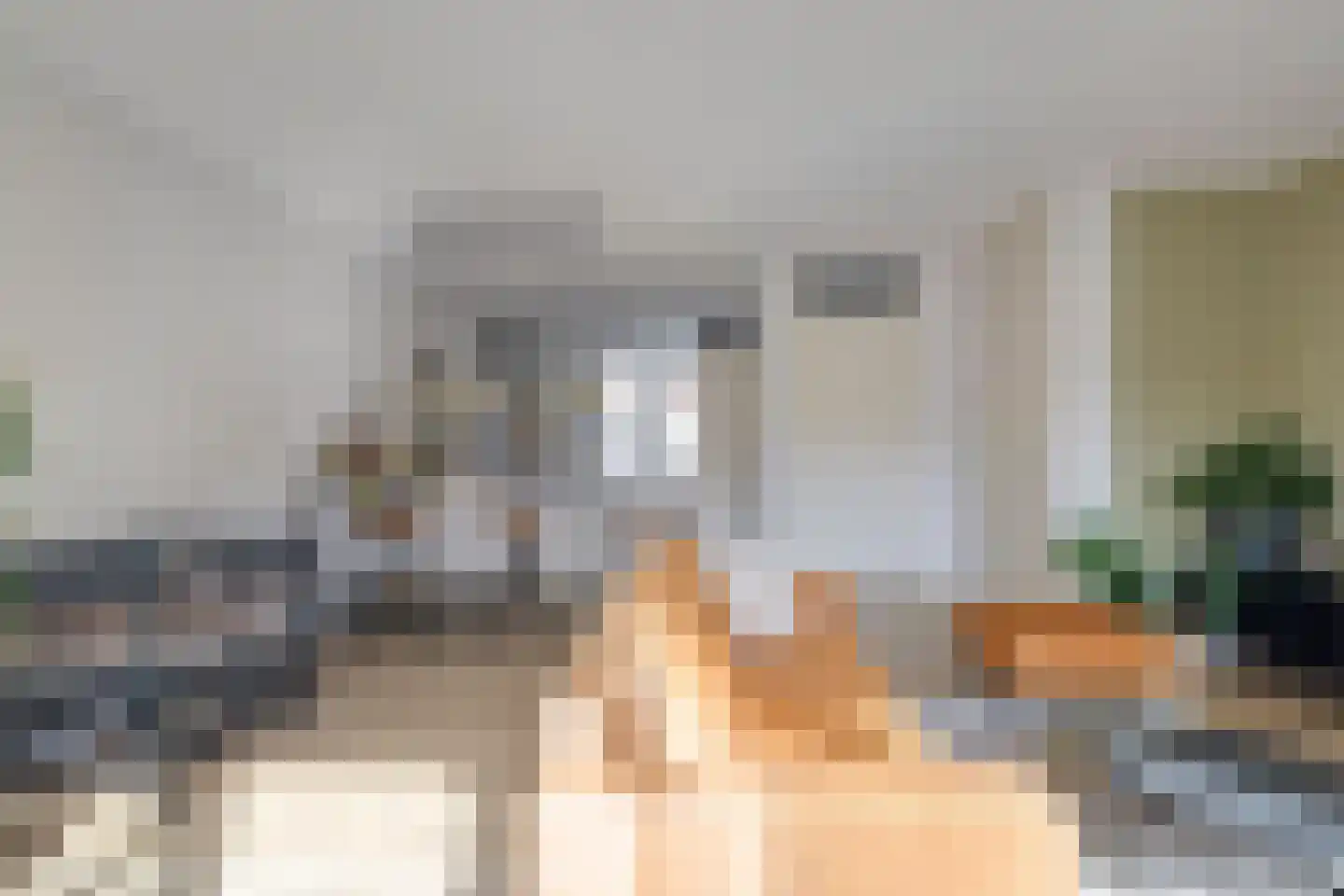 Bernhardstraat 38 Boekel thumbnail 5