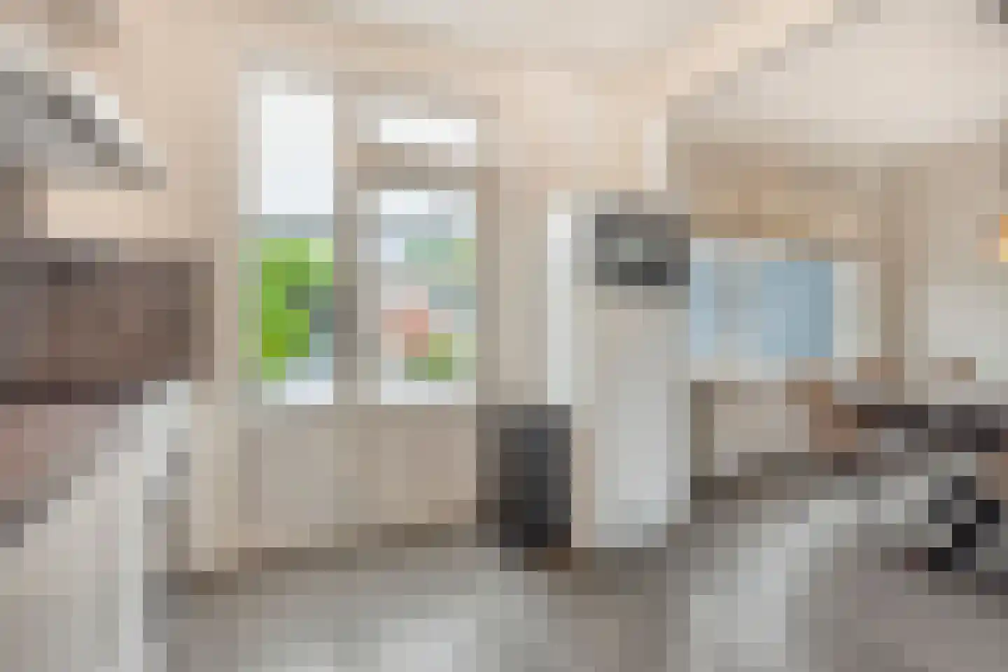 Bernhardstraat 38 Gendt thumbnail 11