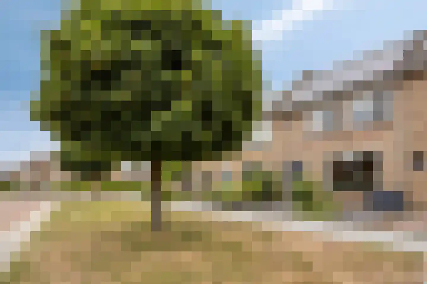 Bernhardstraat 38 Gendt thumbnail 4