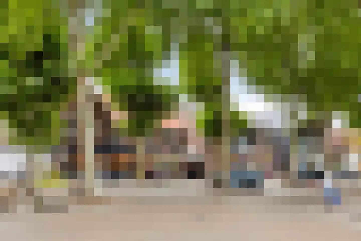 Bernhardstraat 38 Gendt thumbnail 43