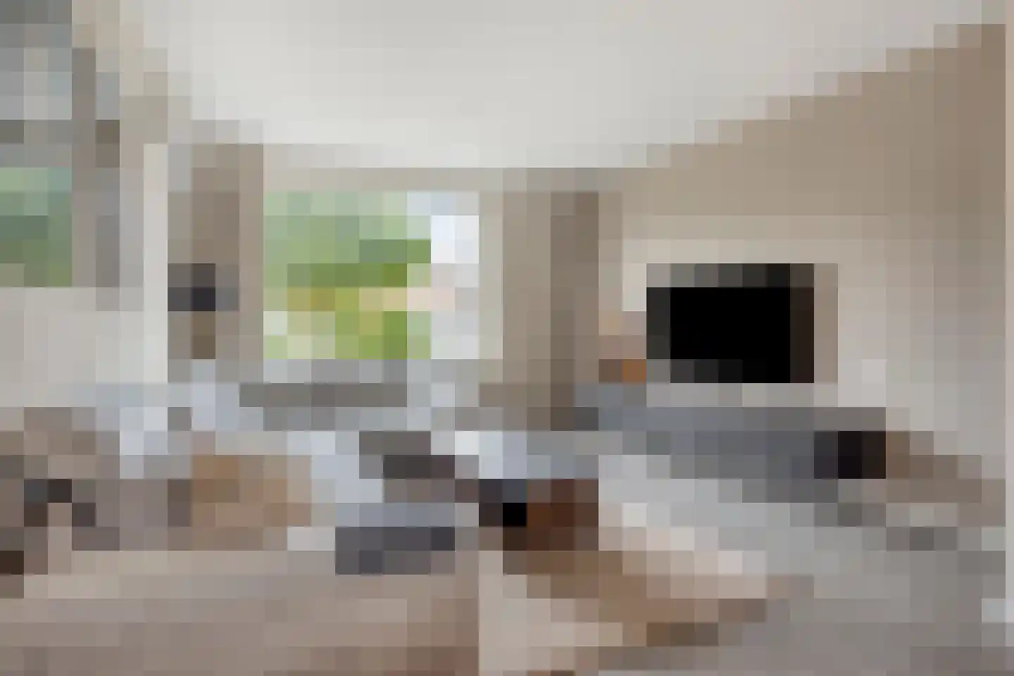 Bernhardstraat 38 Gendt thumbnail 6