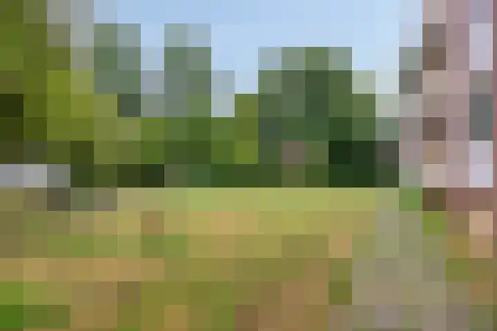 Bernhardstraat 39 I Wageningen thumbnail 34
