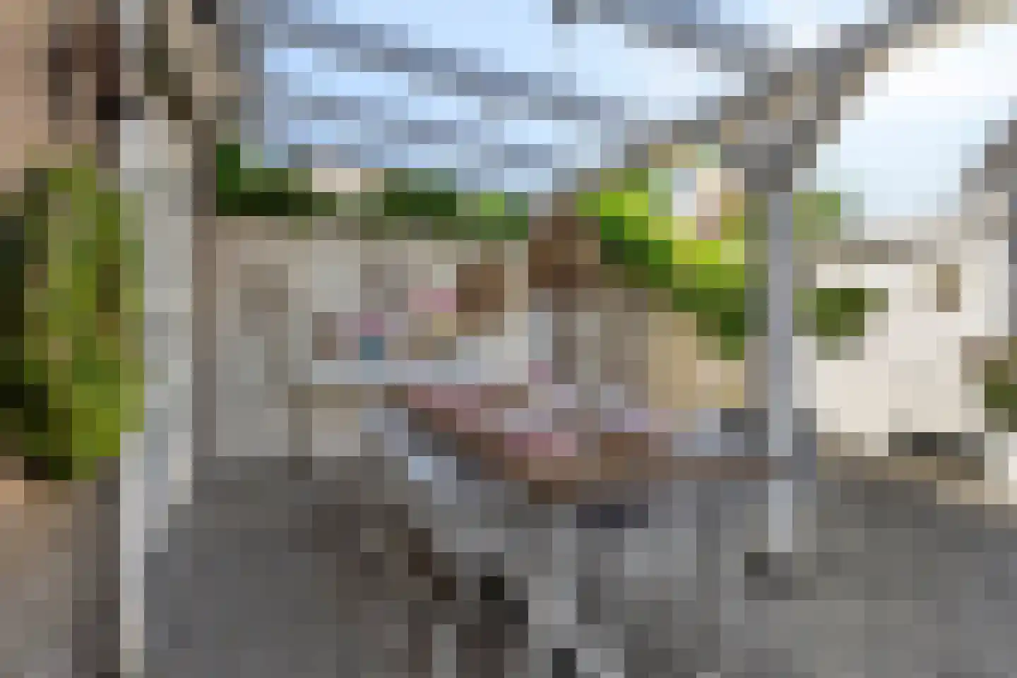 Bernhardstraat 4 Zoeterwoude thumbnail 21
