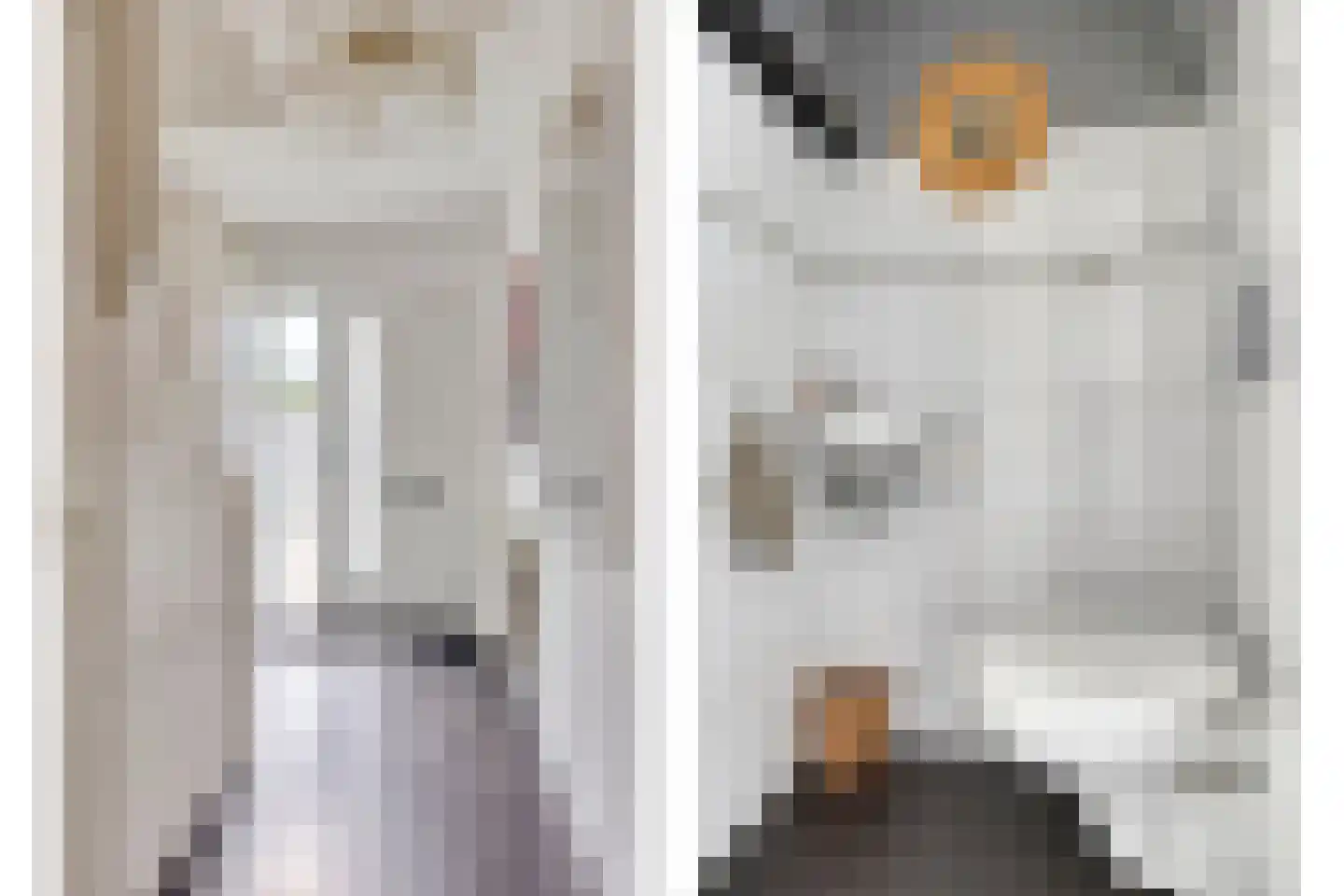 Bernhardstraat 4 Zoeterwoude thumbnail 4