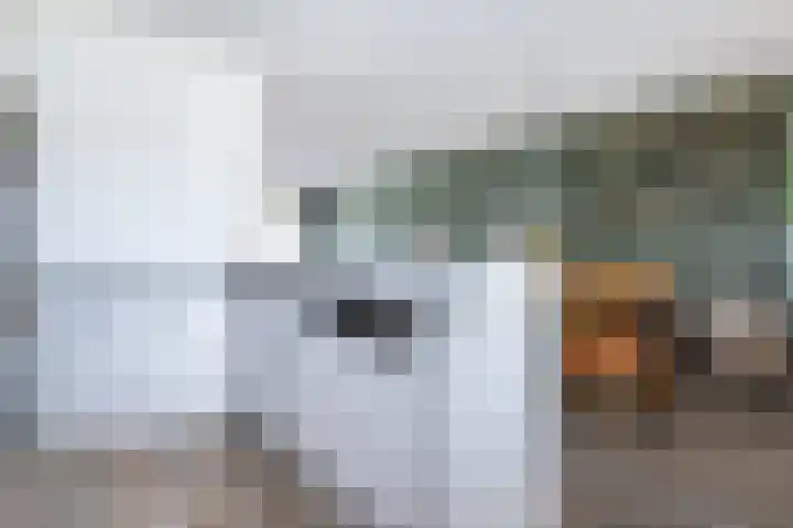 Bernhardstraat 41 Melissant thumbnail 16