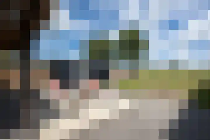 Bernhardstraat 41 Melissant thumbnail 30