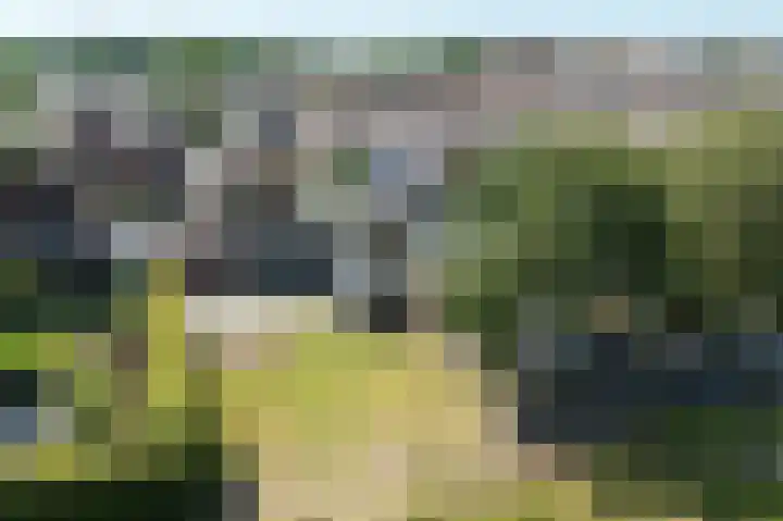 Bernhardstraat 41 Melissant thumbnail 31