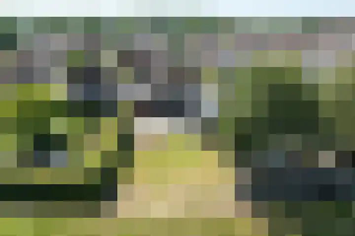 Bernhardstraat 41 Melissant thumbnail 32