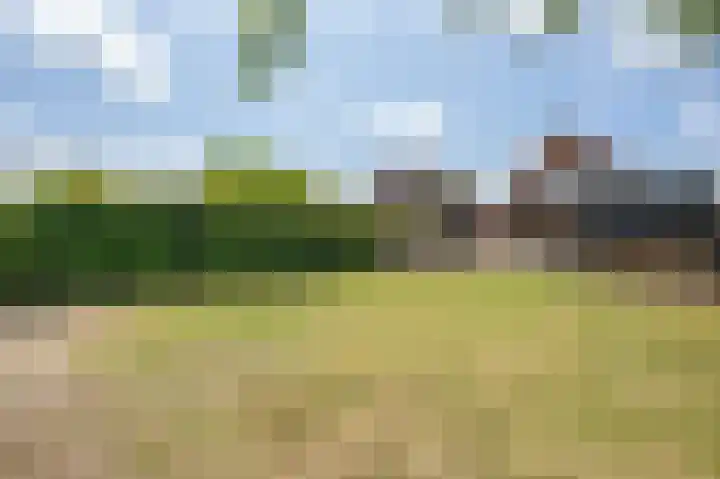 Bernhardstraat 41 Melissant thumbnail 33