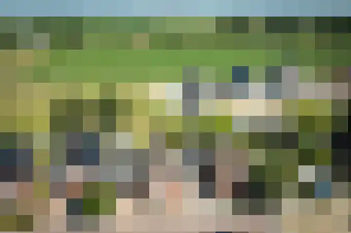 Bernhardstraat 41 Melissant thumbnail 34