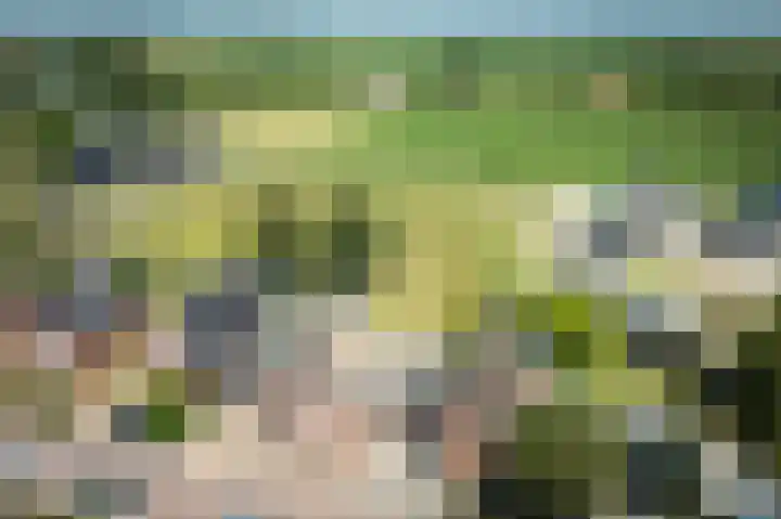Bernhardstraat 41 Melissant thumbnail 35