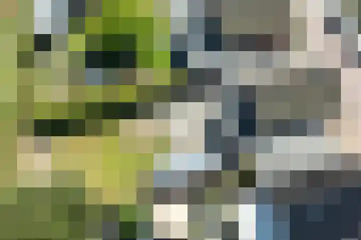 Bernhardstraat 41 Melissant thumbnail 36